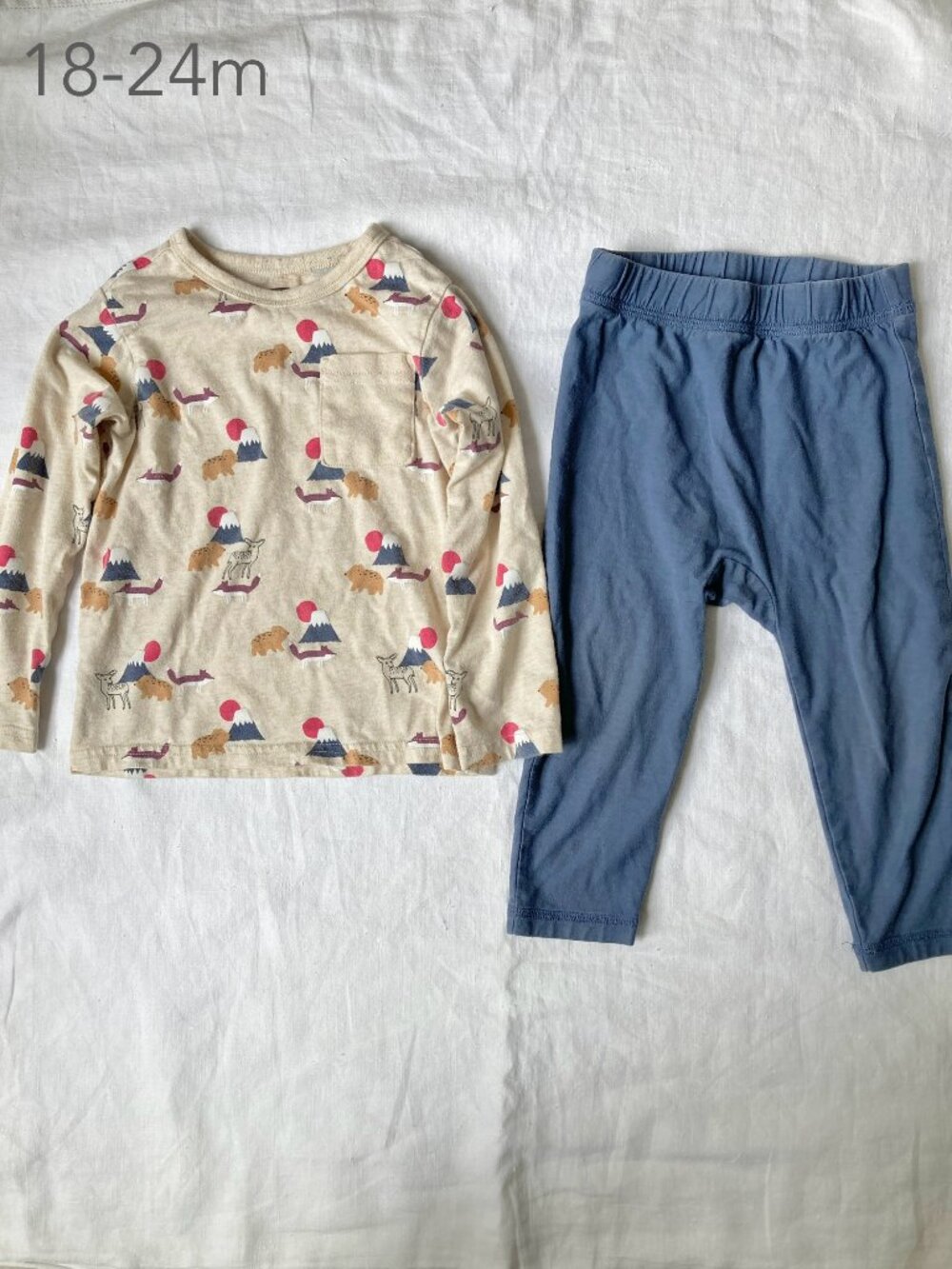 💙2/$25 Tea Collection 18-24 Months Toddler Mountain Long Sleeve Pajamas